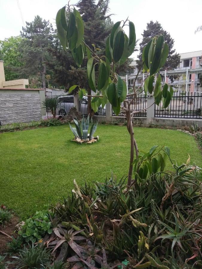 Guest House Alkor Обзор Экстерьер фото